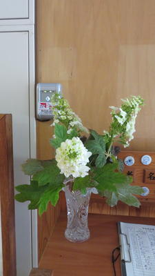 職員室前玄関付近