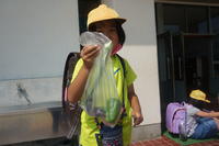 ピーマン＆ナスだよ