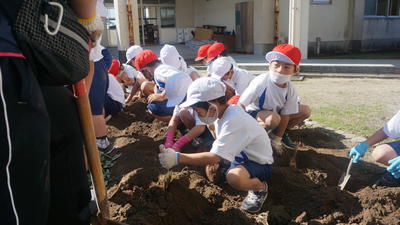 おいもはあるかな