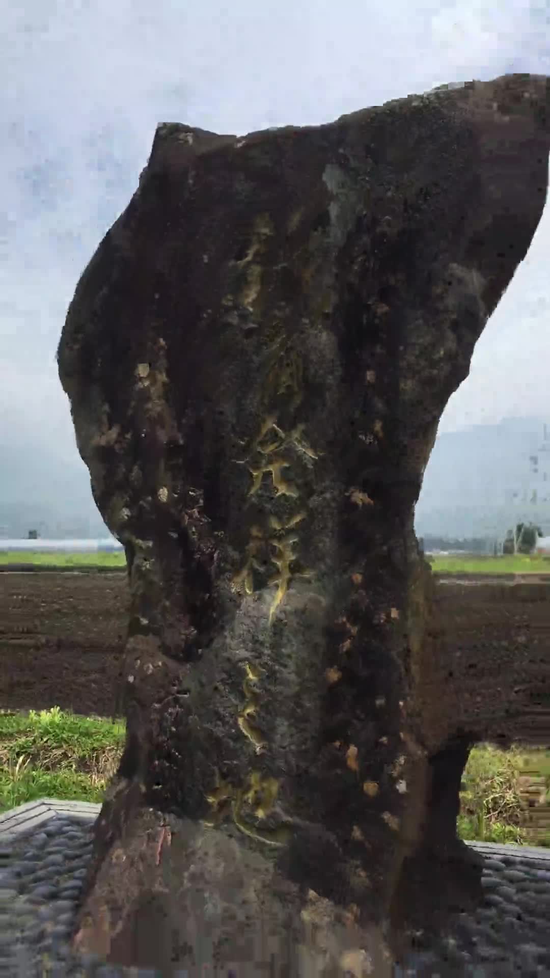 学校たんけん④（石のおきものをさがせ！）