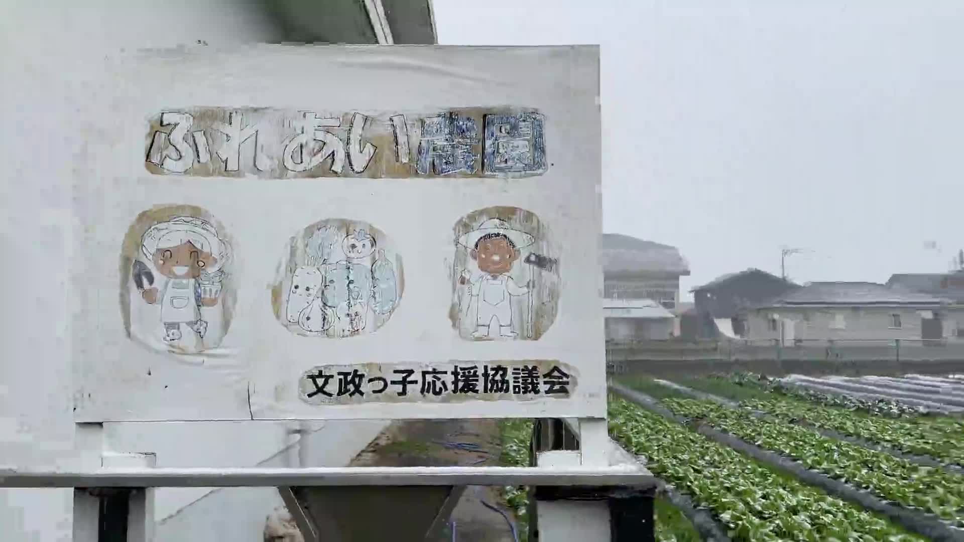 雪が降る② 12/22