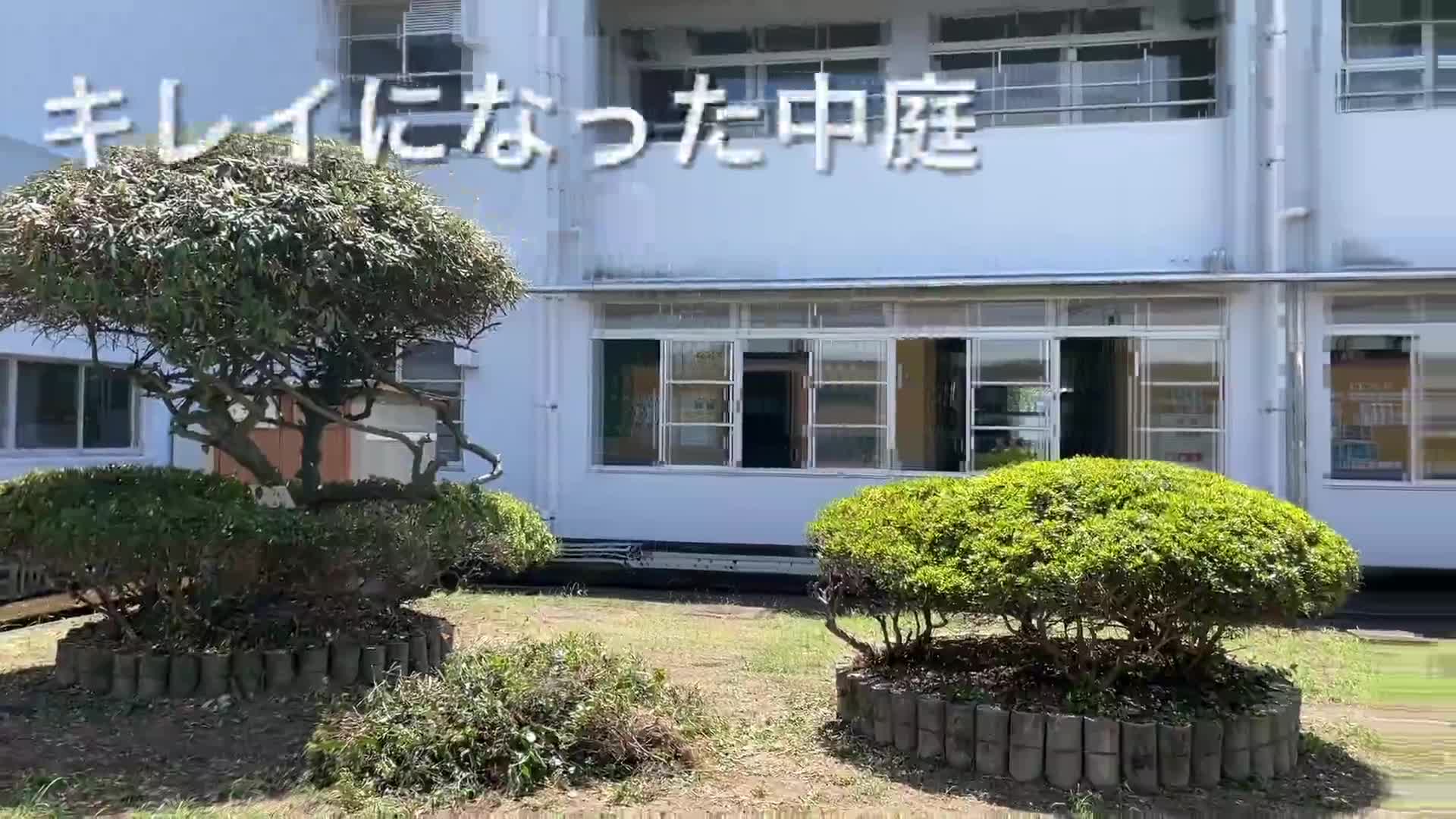 中庭の剪定（せんてい）