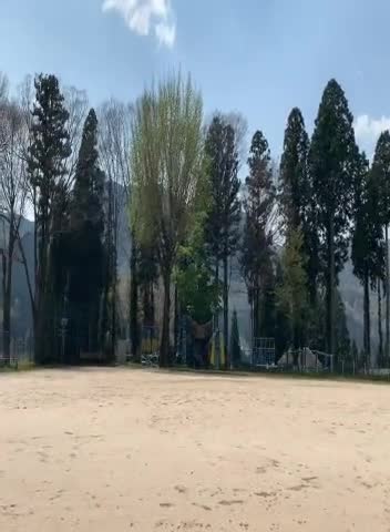 春の運動場を探検しよう