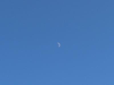 南の空に見えた上限の月