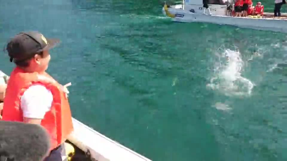 ごしょチューブ⑩５年６年「たこつぼ投入」＃１たこつぼ投入シーン