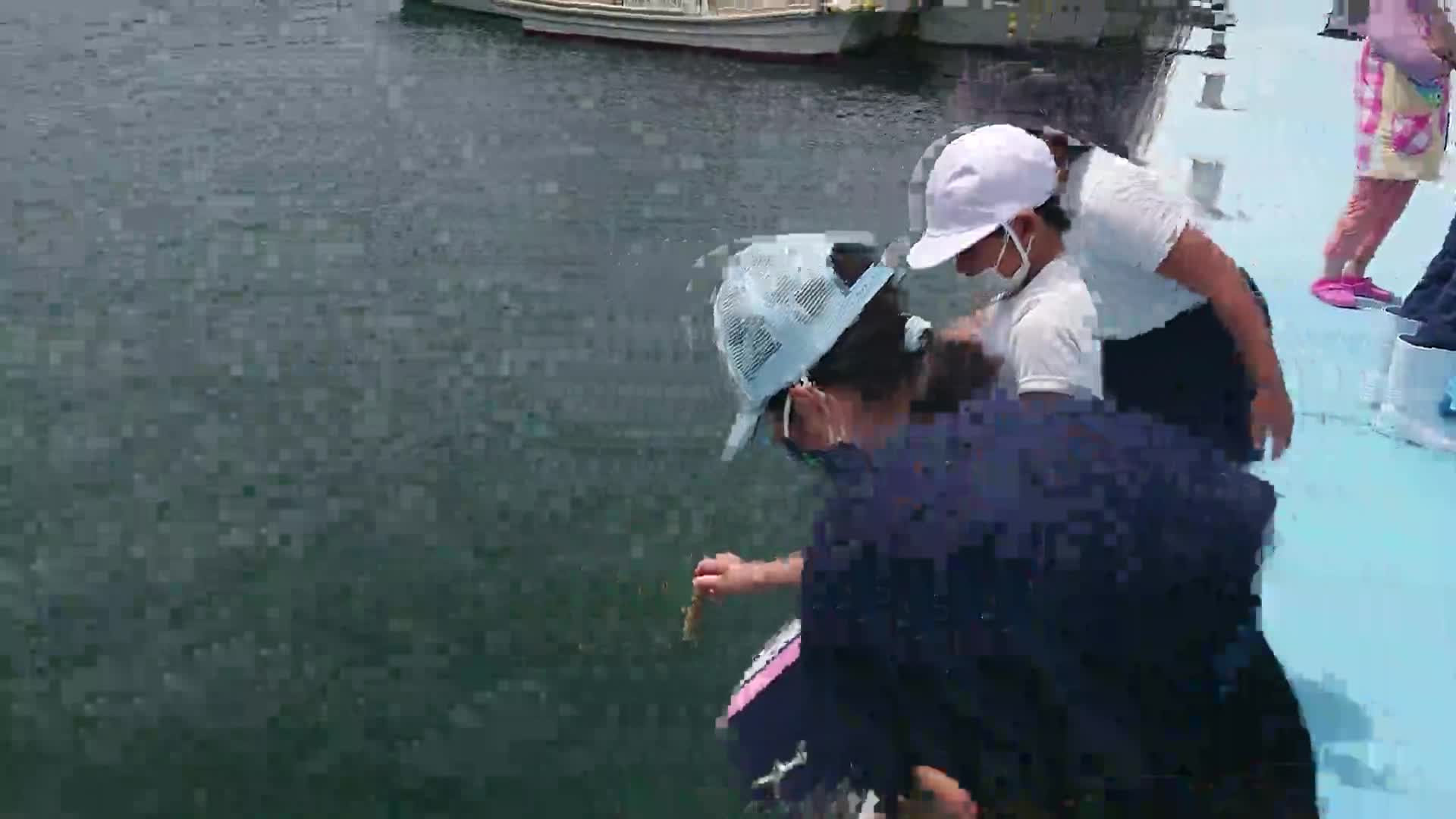 「３年クルマエビマダイ放流」ごしょチューブ《R3-102》