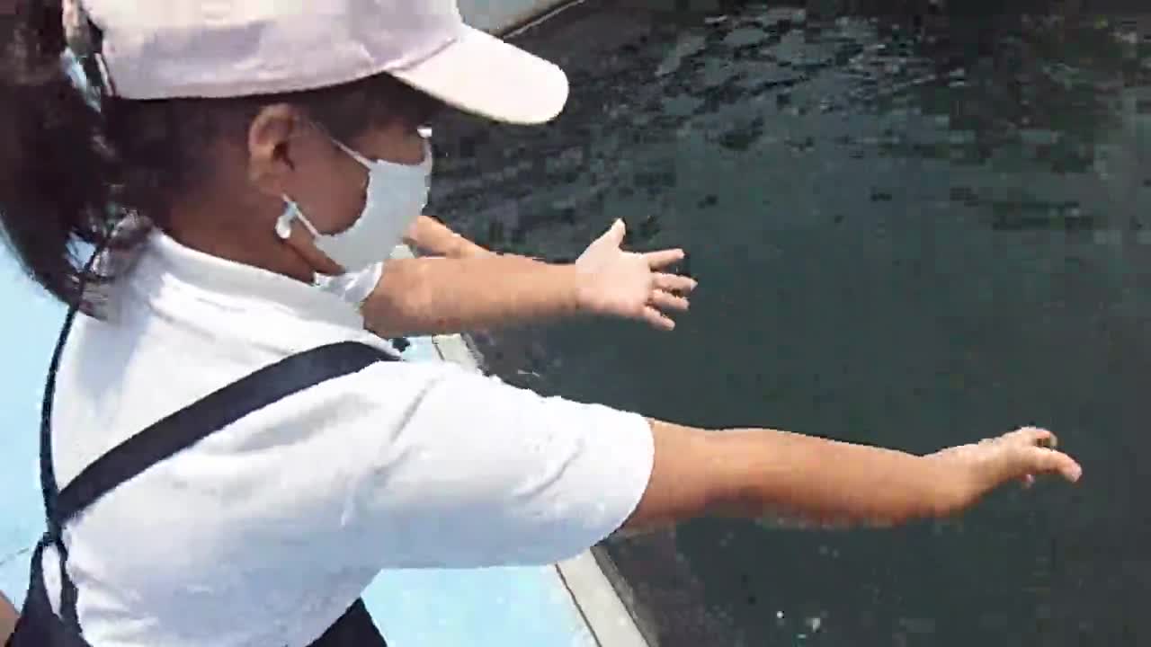 ごしょチューブ《R3-51》２年「クルマエビ稚魚放流」