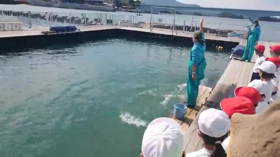 「１年２年見学旅行～シードーナツ②」ごしょチューブ《R3-208》