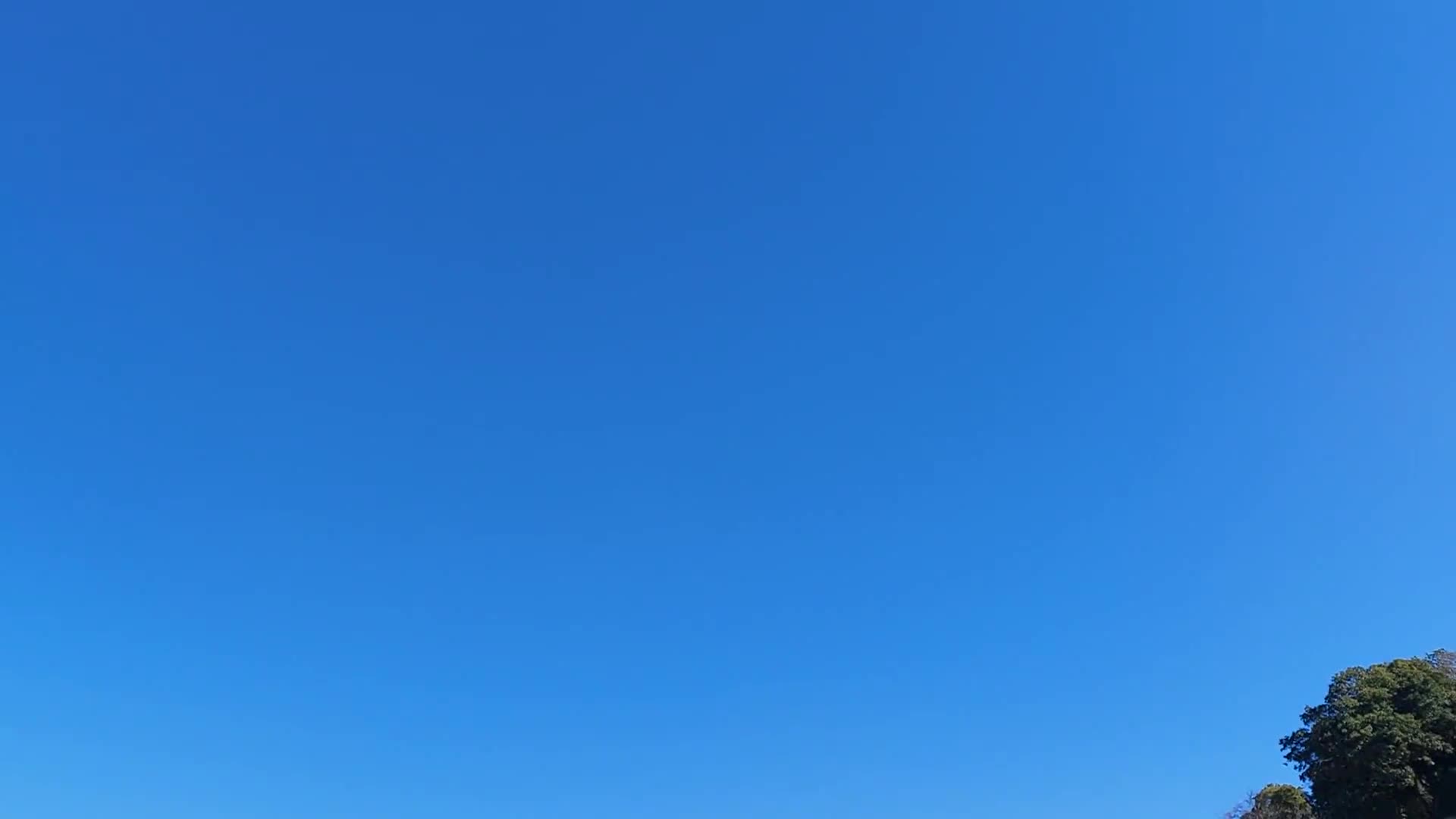 「５年６年フラッグフットボール～Who is ISOPP？」ごしょチューブ《R3-310》