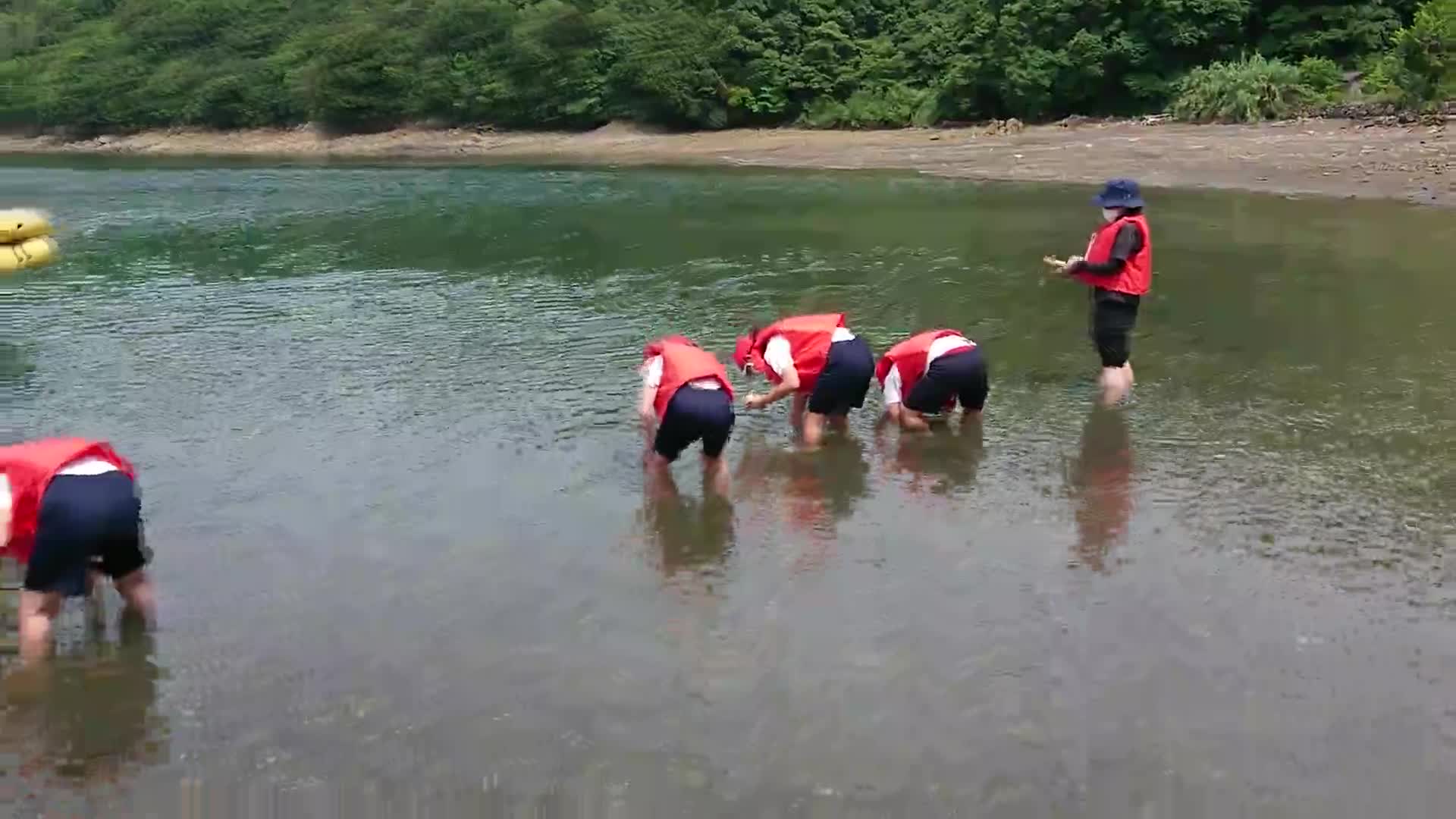 ごしょチューブ《R3-33》６年「アマモ」＃２海岸に直に植え付け