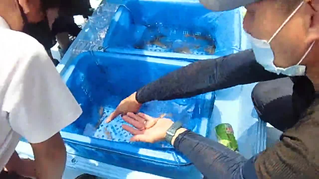 ごしょチューブ《R3-52》３年「クルマエビ稚魚放流」