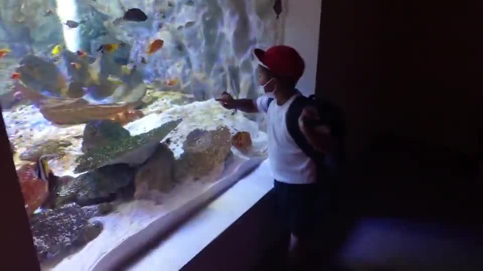 「１年２年見学旅行～シードーナツ①」ごしょチューブ《R3-207》