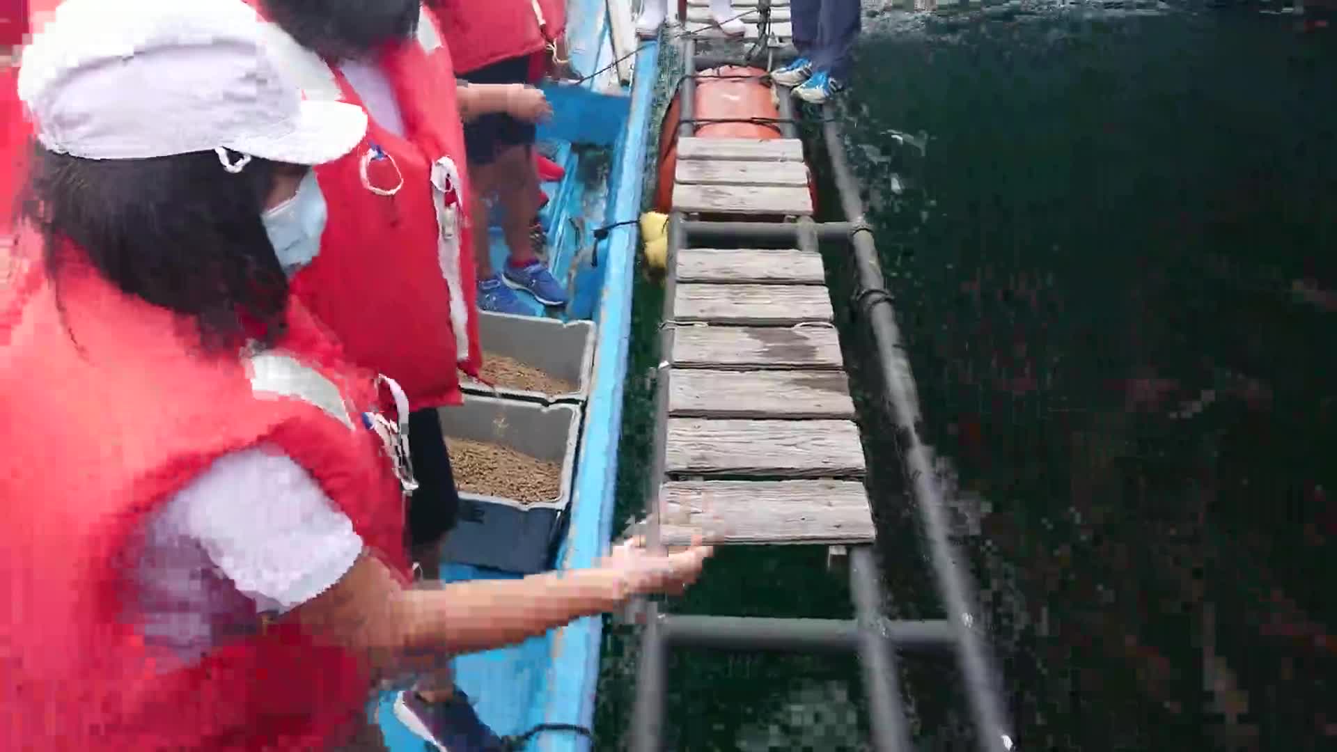 「６年５年マダイえさやり」ごしょチューブ《R3-163》