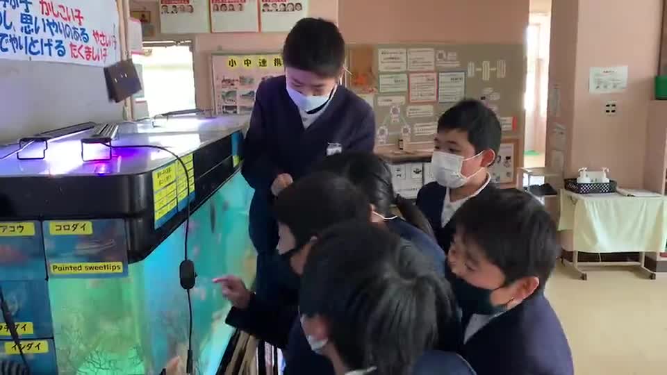 「環境委員会~御所っ子水族館エサやり体験」ごしょちゅーぶ《R3-356》