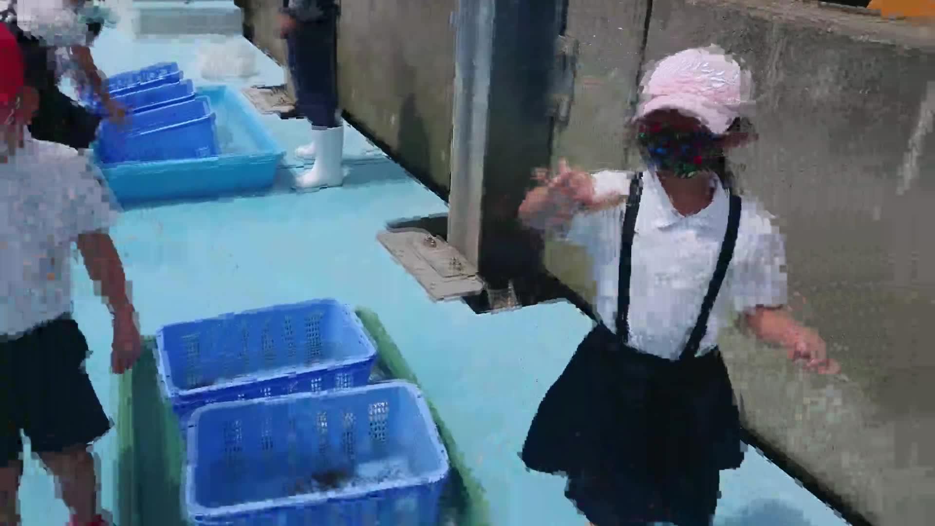 「２年クルマエビマダイ放流」ごしょチューブ《R3-101》