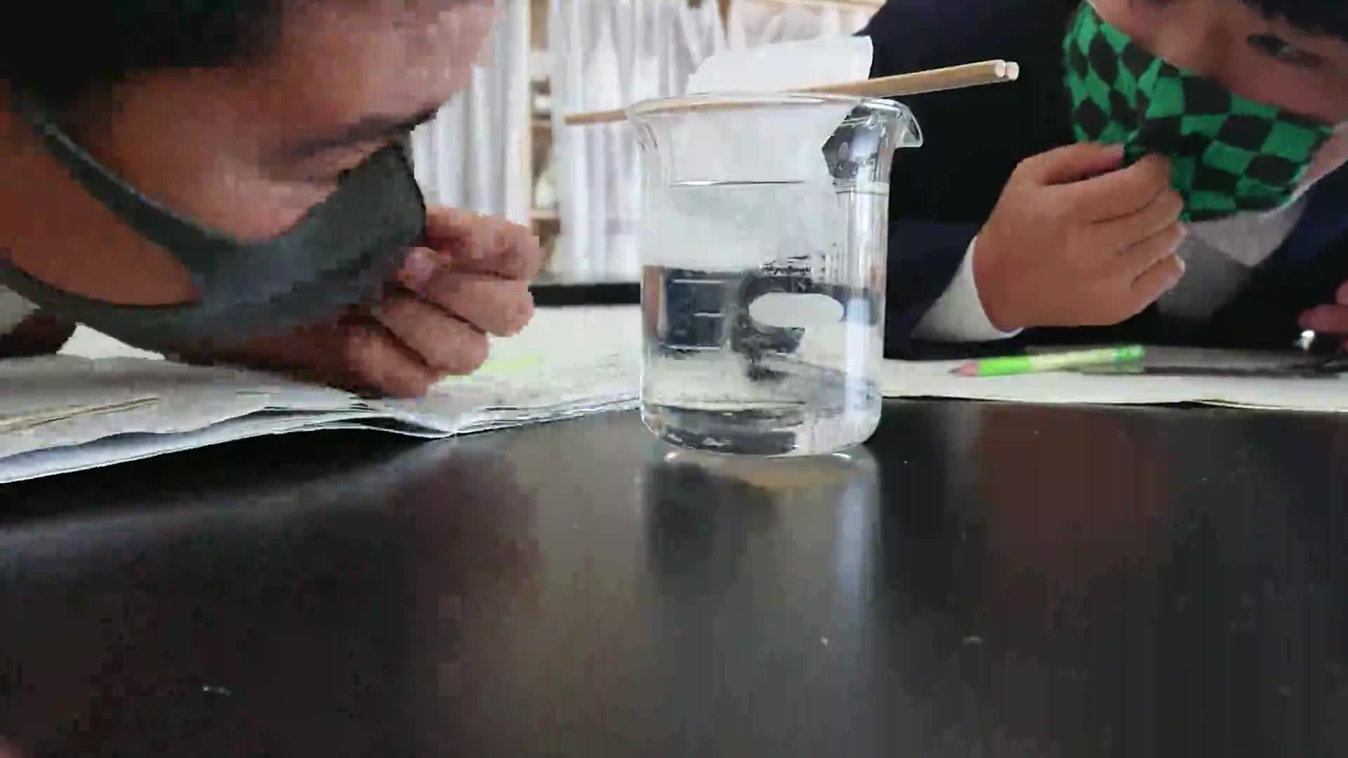  「５年理科～食塩の溶け出し観察」ごしょチューブ《R3-235》