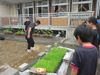 しろかきの仕方