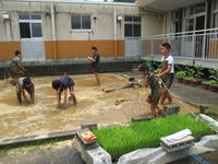 どろんこ運動会➁