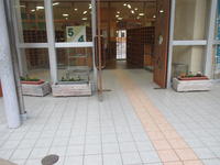 玄関のプランター