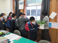 一人一鉢届きました