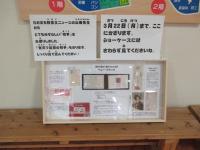 めずらしい切手や葉書