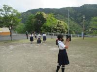 あの鳥なにかな？