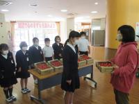 代表で４年生が受け取りました