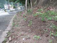 ２１９号線を元気に