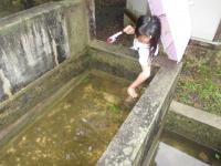 沢ガニ第二の家