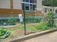 理科観察園＆すぎのこ１の畑