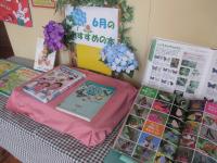 ６月のおすすめ