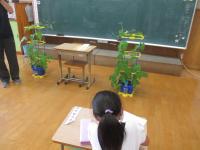 全体をスケッチ