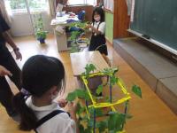 見て　触って　においをかいで