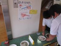 給食委員会からの提案