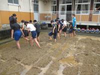 最初はおそるおそる