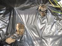 犯人の足跡がしっかり