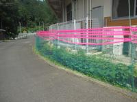 鹿よけテープ設置