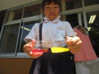 鮮やかなイエローとパープル