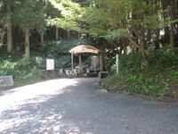 名水「さくらの雫」