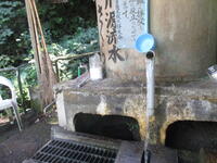 きれいな湧き水