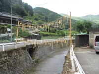 木々子の「七夕綱」