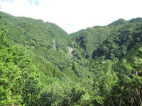 山道（林道）から望む「走水滝」