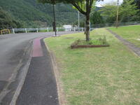 芝生と花壇がきれいです！