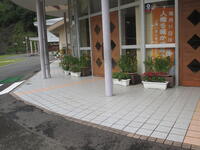 夏を無事越した花々