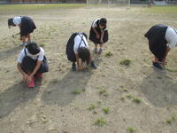 ソーシャルディスタンスは守って