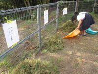 ３班の山が高いかな？