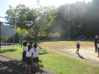 木の影も太陽の反対側