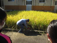 坂口さんのお手本