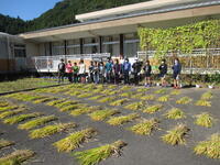 全部刈り取り記念写真