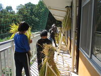 掛け干しの様子